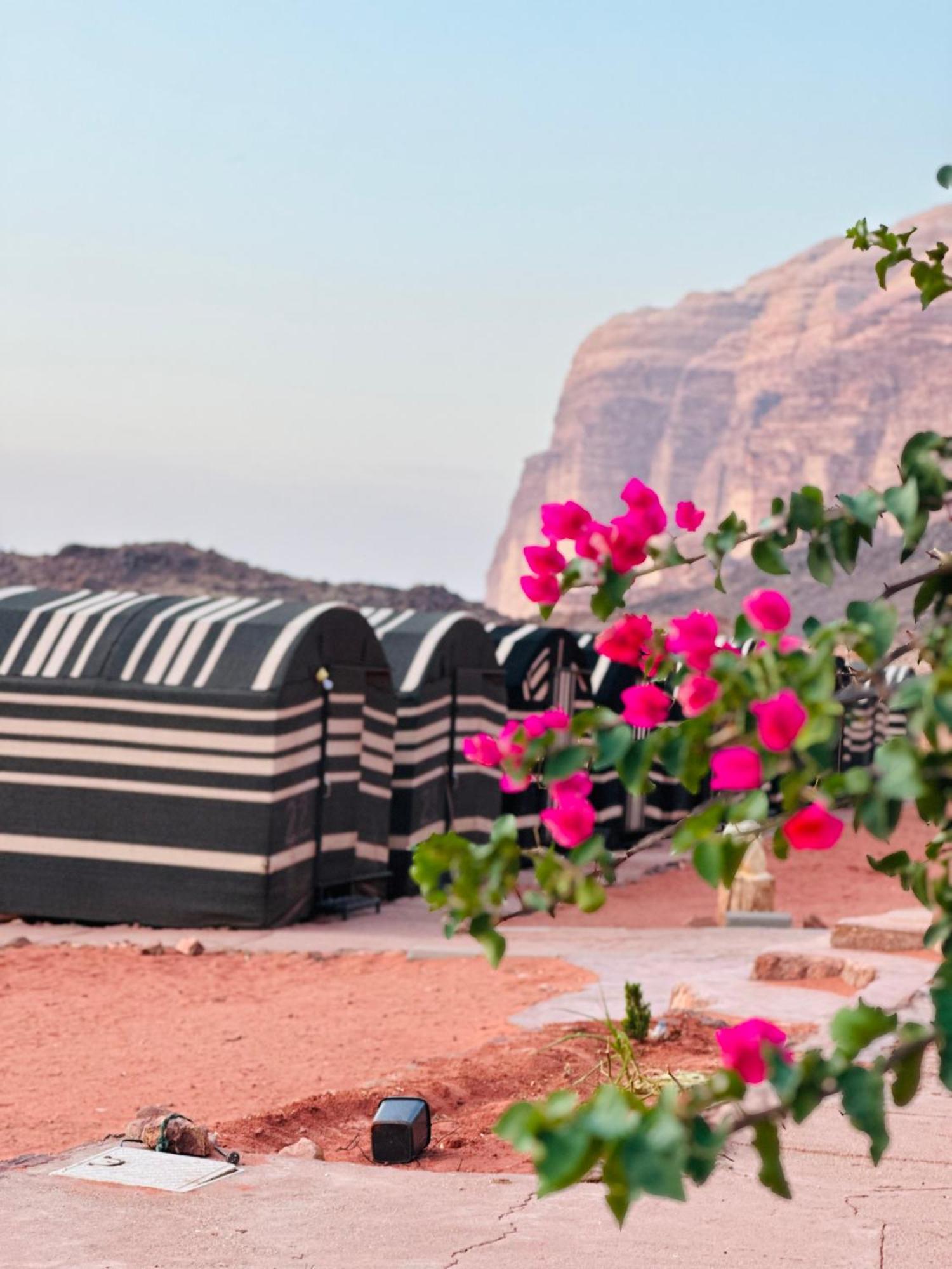 Sunset Dreams Camp Leilighet Wadi Rum Eksteriør bilde